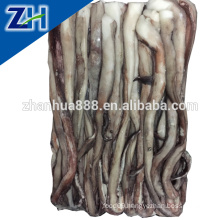 Frozen Raw Material Giant Squid Long Leg Tentacle